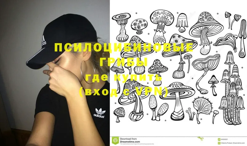 Псилоцибиновые грибы MAGIC MUSHROOMS  Кострома 